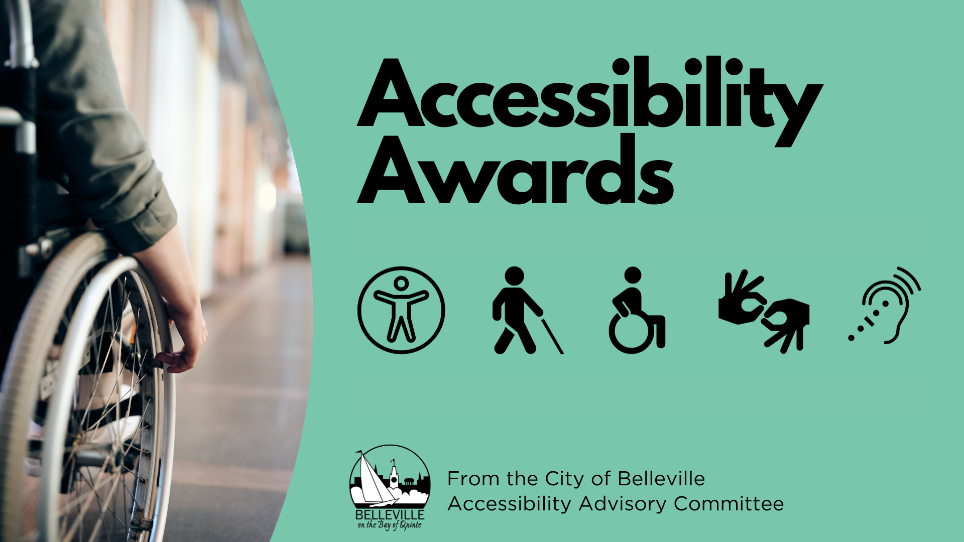 Icons of different accessibility needs